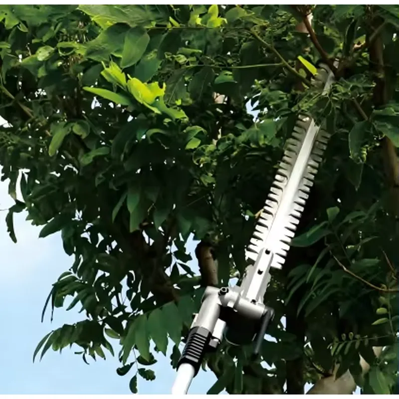 DongCheng Battery-Powered Pole - Power Tools Dongcheng review and price